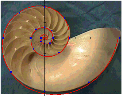 Nautilus Spiral Data and Fit