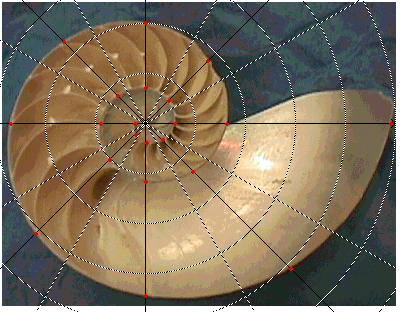 Sampled points on spiral