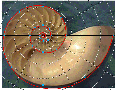 Second model of spirl
