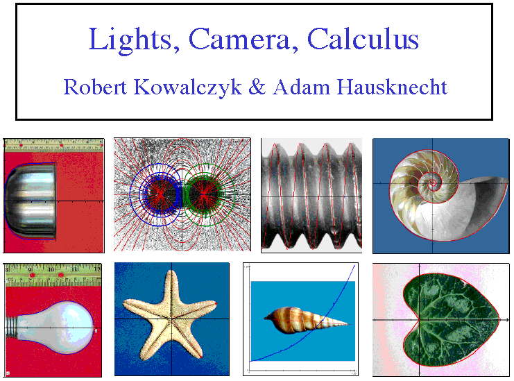 Small Digital pictures